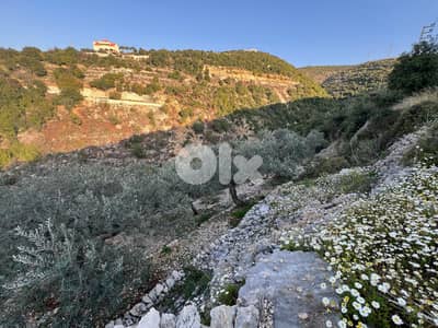 Land for sale in Chabtin - أرض للبيع في شبطين