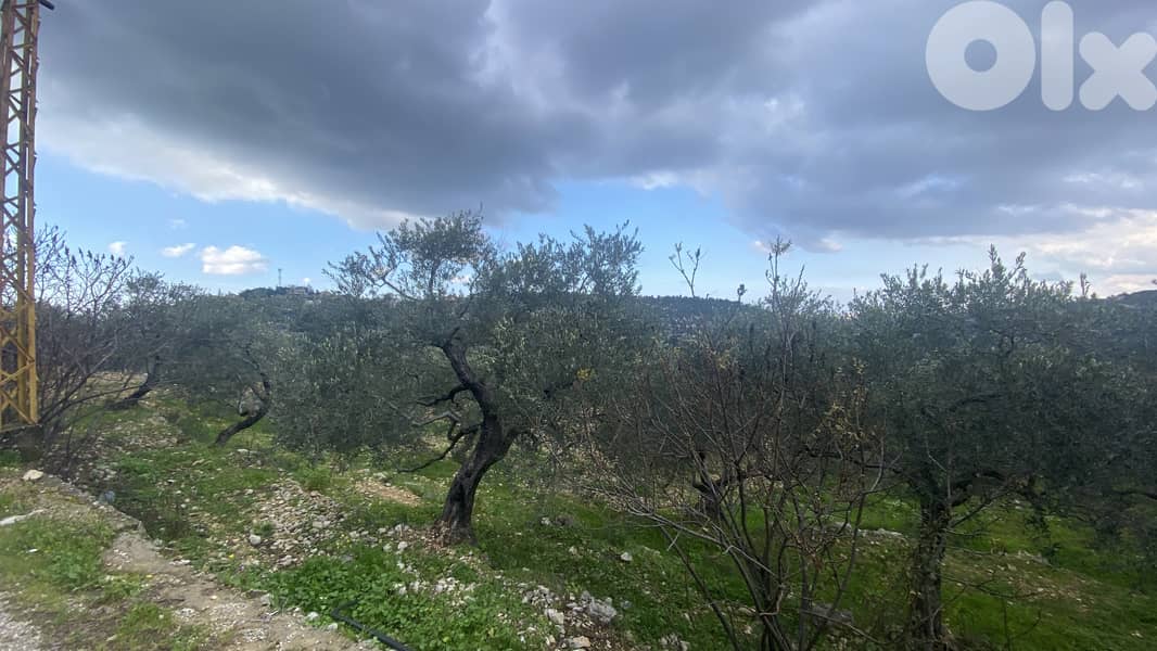 RWB126DL - Land for sale in Chabtine Batroun 0