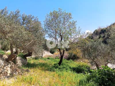 RWB133DL - Land for sale in Jrabta Batroun