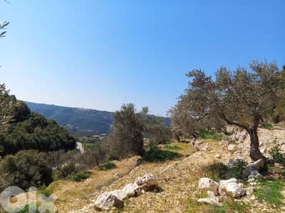 RWB133DL - Land for sale in Jrabta Batroun
