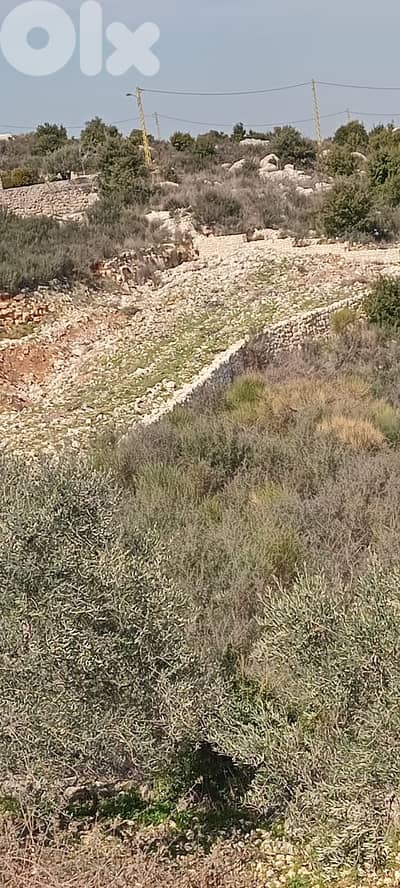 RWB134DL - Land for sale in Alaly - Batroun