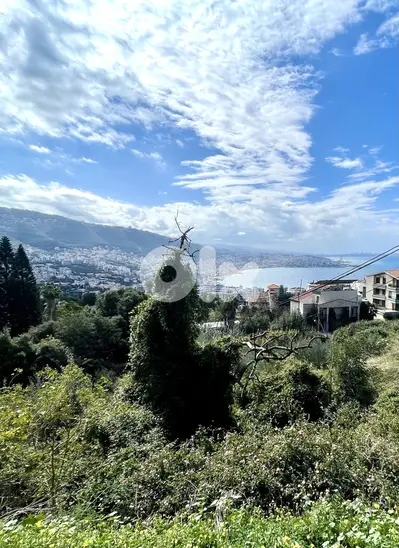 RWK547CA - 1140 SQM  Land For Sale In Adma