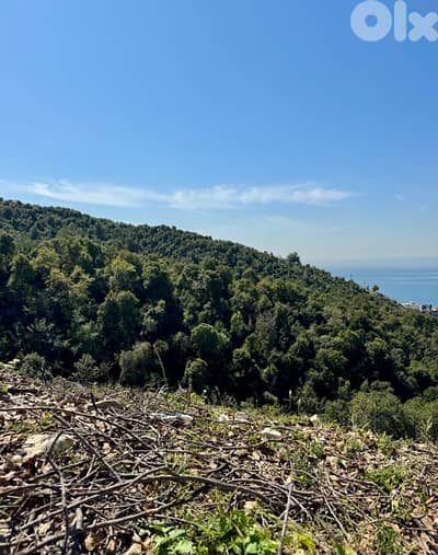 Land For Sale In halat-Jbeil  أراضي للبيع في حالات صالحة لمشروع بناء