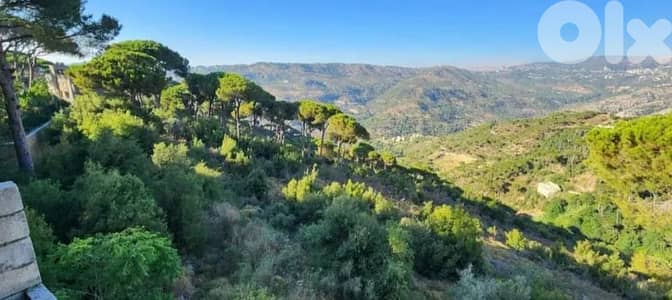 8,988 SQM Land+MountainView for sale in Bhamdoun -ارض للبيع في بحمدون