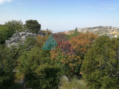 A 12,000 SQM Land for sale in Faytroun - أرض للبيع في فيطرون