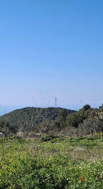 Land for sale in Mrah Chdid-Batroun أرض للبيع في مراح شديد - البترون
