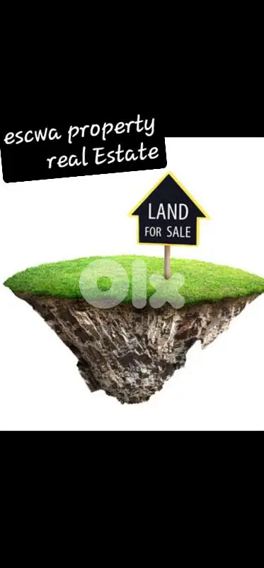 land for sale in horsh tabet أرض للبيع في حرش تابت
