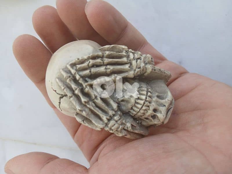 جمجمتان 1