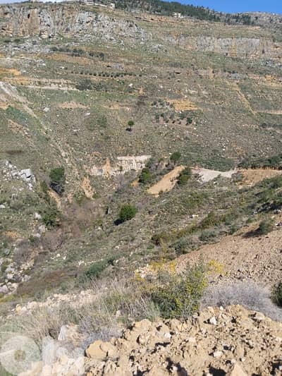 ارض للبيع في الرملية عاليه land for sale in rmlye aley
