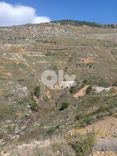 ارض للبيع في الرملية عاليه land for sale in rmlye aley