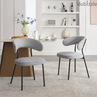 dining chair set of 2