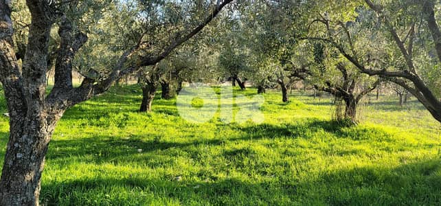 RWB111EG - Land for sale in Lehfed Jbeil