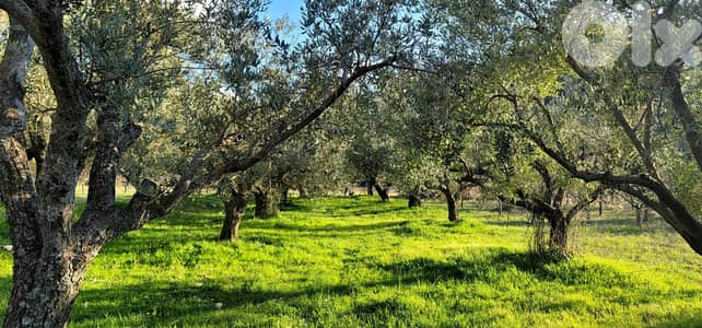 RWB111EG - Land for sale in Lehfed Jbeil