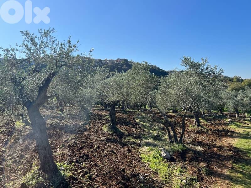 agricultural land for sale bteram 0