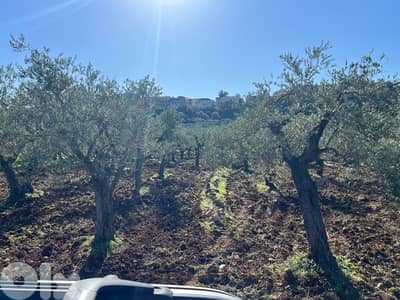 agricultural land for sale bteram