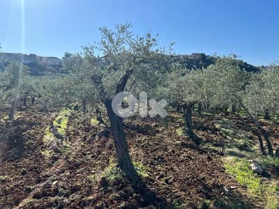 agricultural land for sale bteram