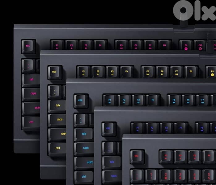 Razer Cynosa Lite Gaming keyboard 1