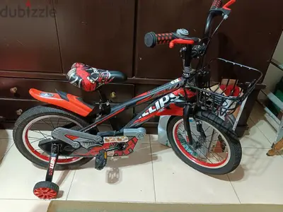 bicycle Philips brand