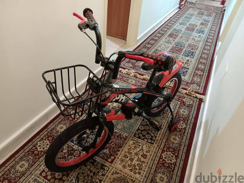 bicycle Philips brand 1