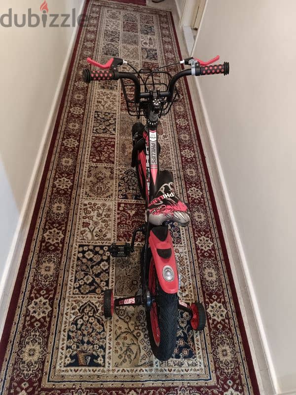 bicycle Philips brand 7