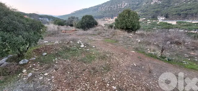 Land for Sale in Arsoun أرض للبيع في أرصون