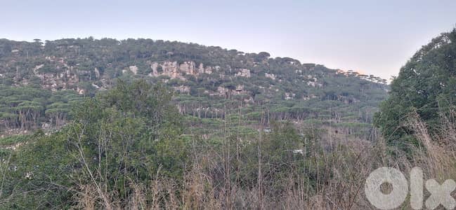 Land for Sale in Arsoun أرض للبيع في أرصون