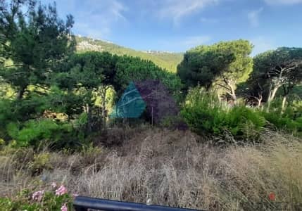 1000 SQM Land+Mountain View 4 Sale in Monteverde -أرض للبيع مونتيفردي