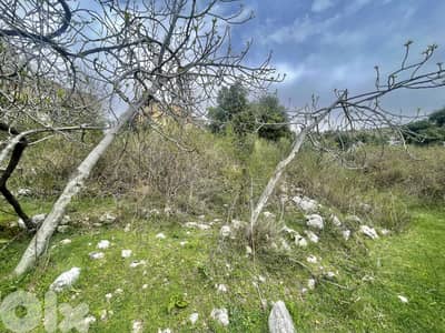 RWK438CA - Land for Sale in Ghineh - أرض للبيع في الغينة