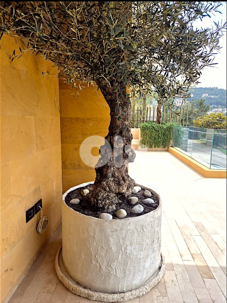Concrete planters 0