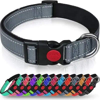 Adjustable Reflective Webbing Collar With Leash For Dogs And Cats