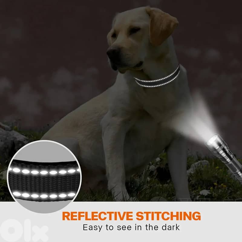 Adjustable Reflective Webbing Collar With Leash For Dogs And Cats 2