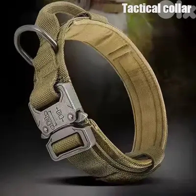 Heavy Duty Tactical Dog Collar for Medium and Large Dogs