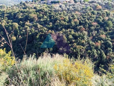 A 10,893 SQM Land for sale in Batroun-Helta - أرض للبيع في البترون