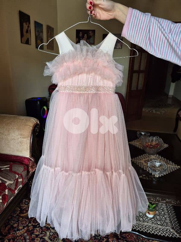 Pink dress 1