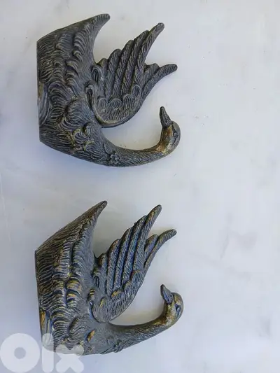 بطة عدد 2