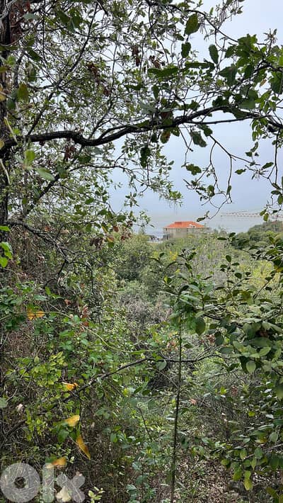 GMN156AA - Land for sale in Thoum - ارض للبيع في تحوم