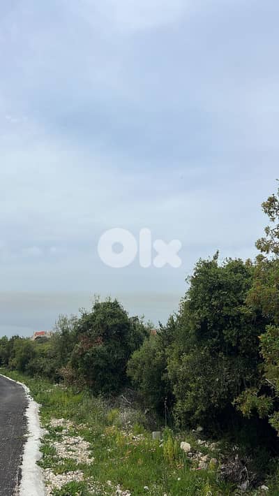 GMN156AA - Land for sale in Thoum - ارض للبيع في تحوم