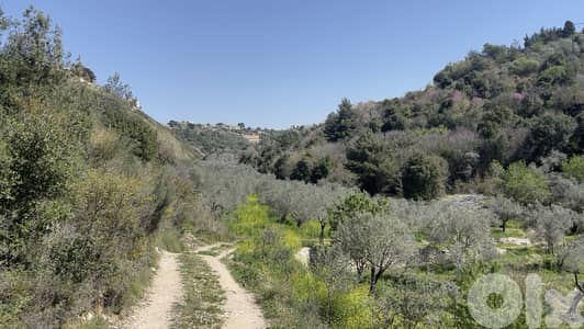 RWB229CA - Land for sale in Chamat Jbeil