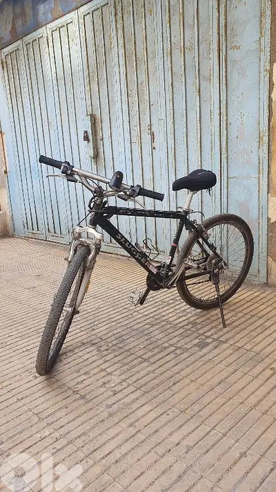 Bike for teens and adults