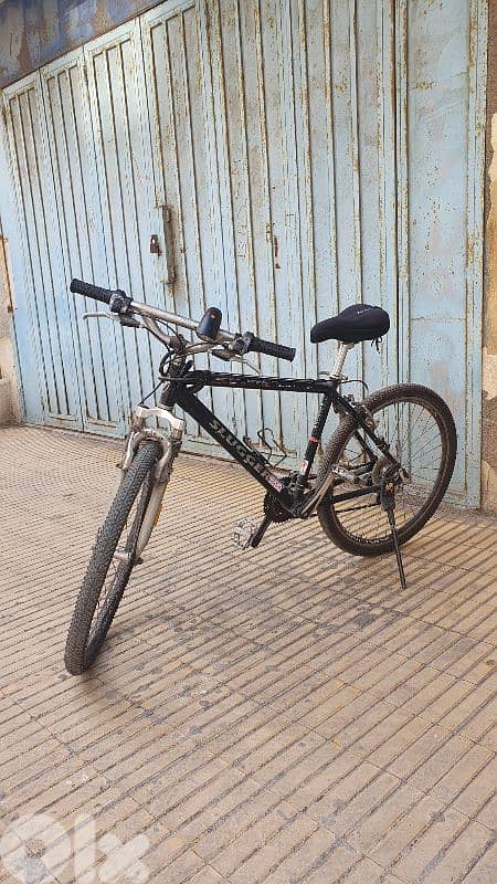 Bike for teens and adults 0