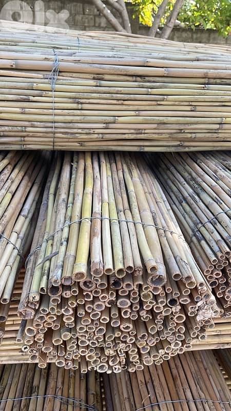 قصب للخيم و للزينة في بيروت). SPECIAL PRICE !!bamboo rolls in beirut 14