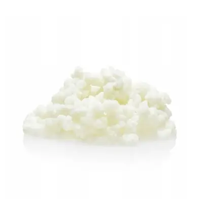 kefir grains