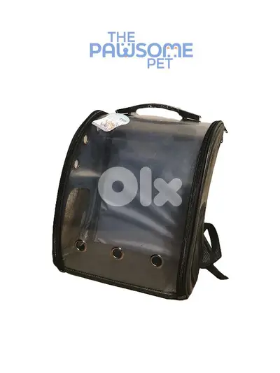 Pawsome's transparent bag