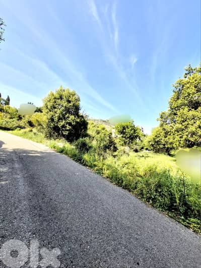 Land for sale in Aamchit -Flat  أرض للبيع في عمشيت -مسطحة