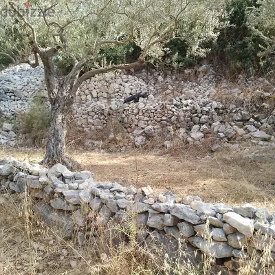 Land for sale in Derya-Batroun أرض للبيع في دريا - البترون