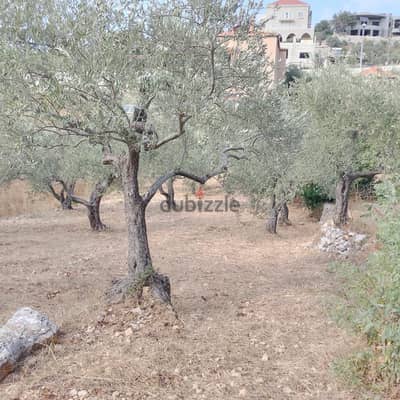 Land for sale in Derya-Batroun أرض للبيع في دريا - البترون