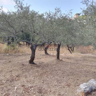 Land for sale in Derya-Batroun أرض للبيع في دريا - البترون