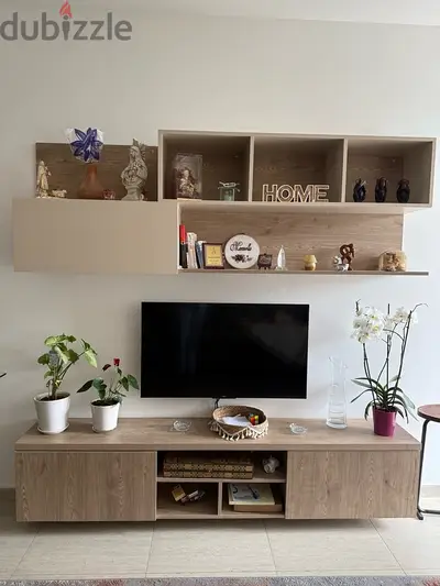 TV unit