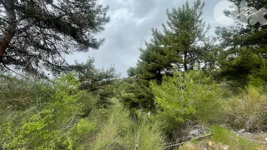 RWB132SN - Land for sale in Barhalioun - Becharre