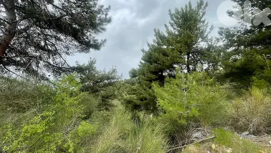 RWB132SN - Land for sale in Barhalioun - Becharre